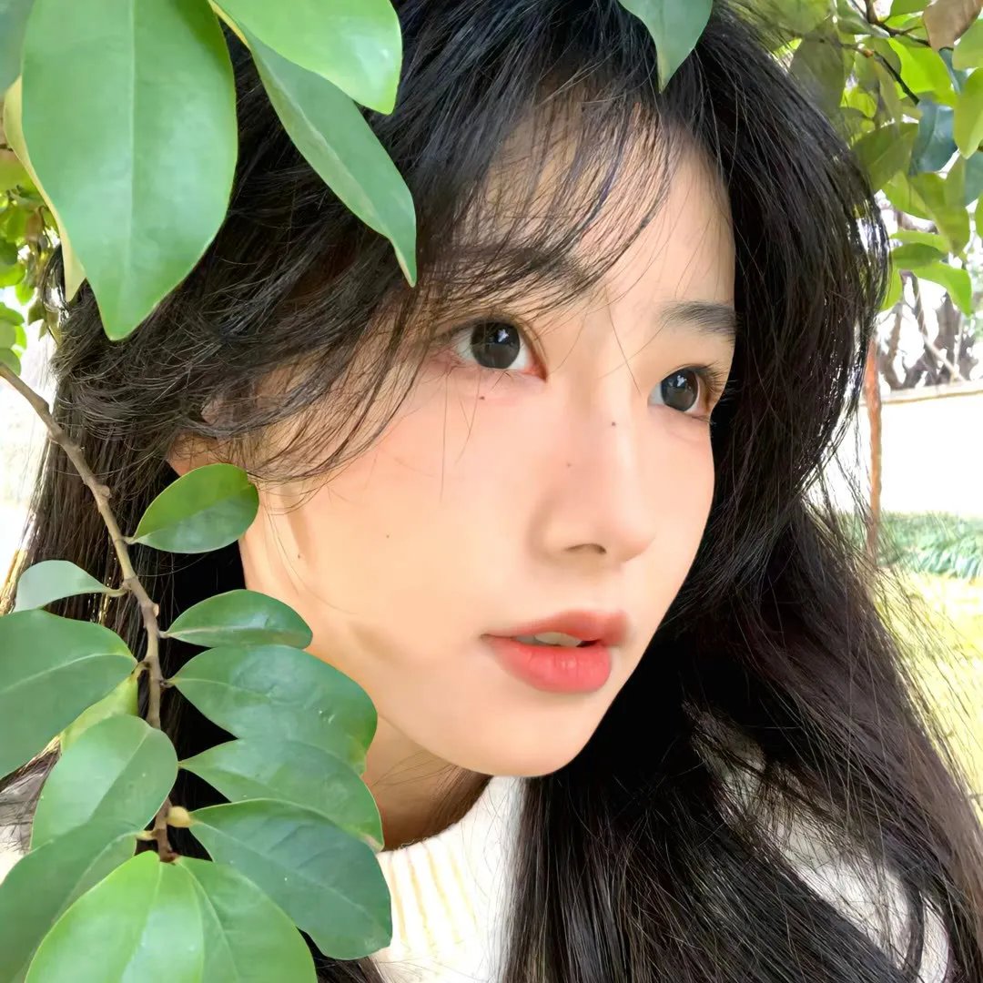 少女多情
